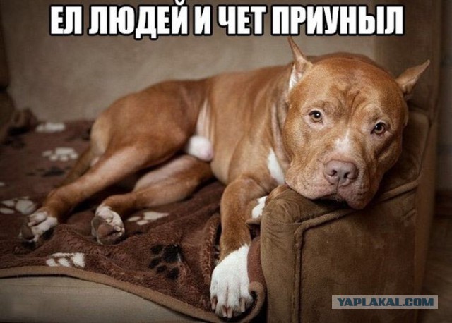 Зоошизе на заметку