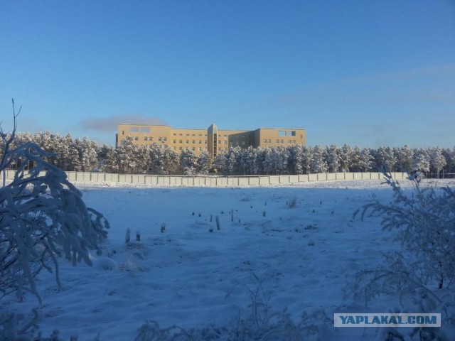 Как я болел туберкулезом