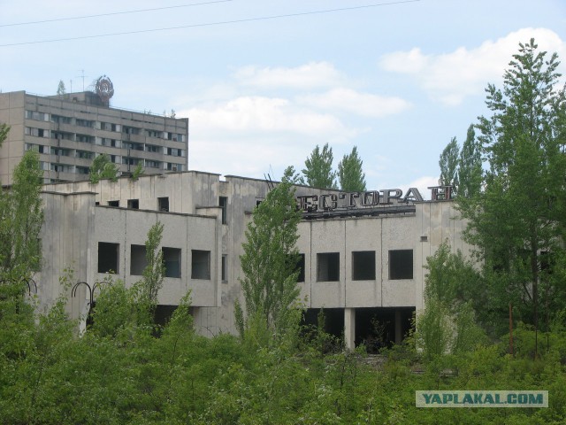 Черная быль