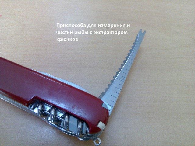 Нож Victorinox SwissChamp: что для чего