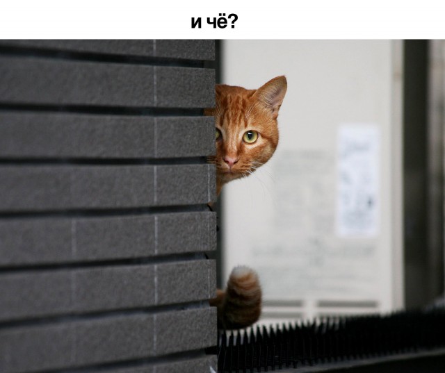 Неплохой кадр