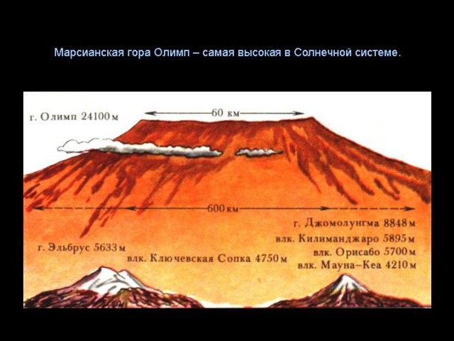 Новая теория эволюции