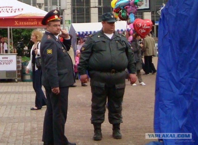 Накормили полицию