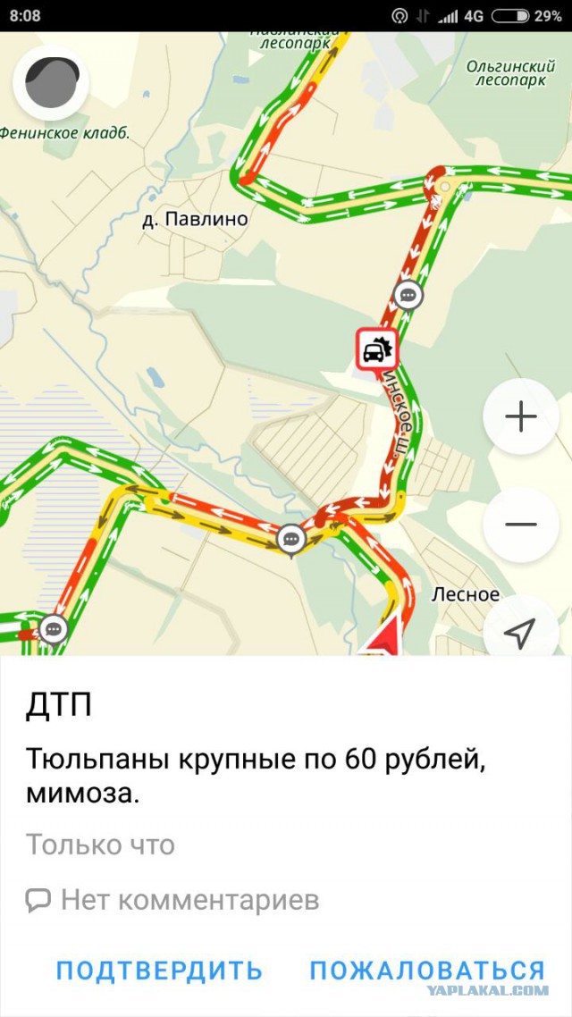 Про "тюльпанных бизнесменов на один день в году"