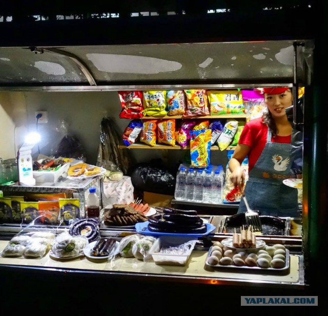 Пламенный репортаж телевидения КНДР о начале священной войны с американскими сумасбродами