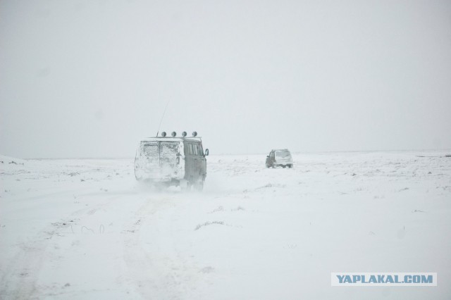 Топ-7 мест для отдыха в Волгоградской области