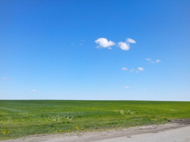 100 тысяч долларов против 45 долларов: разница в гонорарах авторов обоев Windows XP
