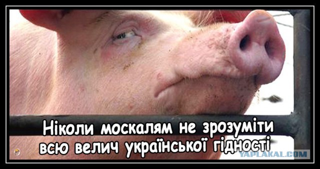 Кто виноват в войне на Донбассе? Опросы в городах Украины