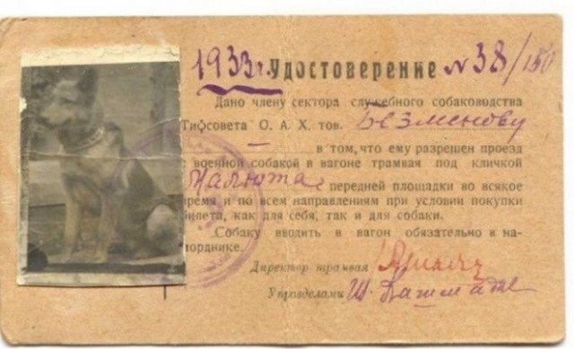 Картинки по-приколу