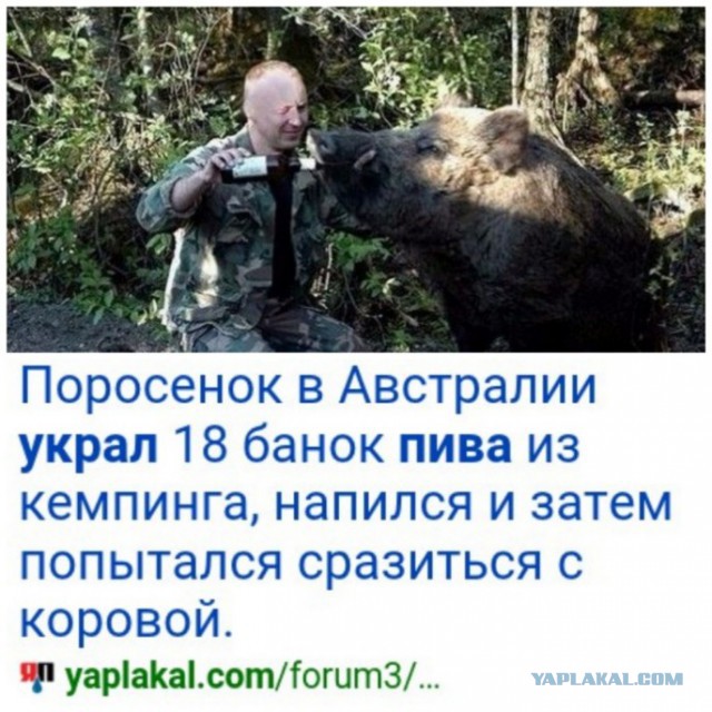 Соцсети - и смех и грех