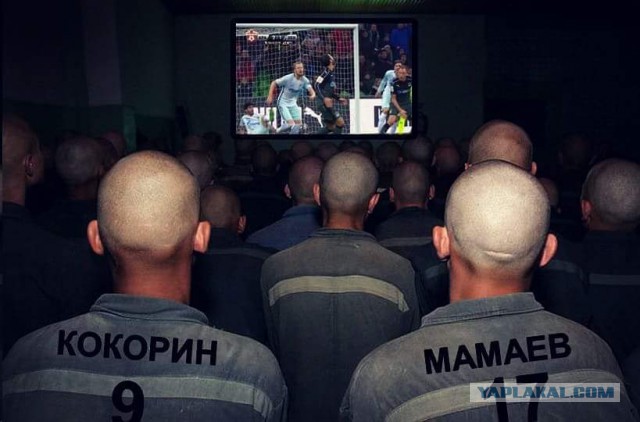 РПЛ 2018-2019 (часть IV)