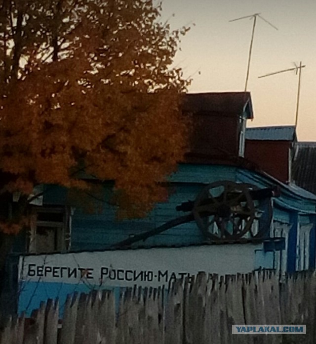 Патриотизм головного мозга