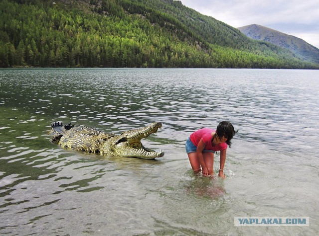 Ездил на Бердь. А что, а вдруг...