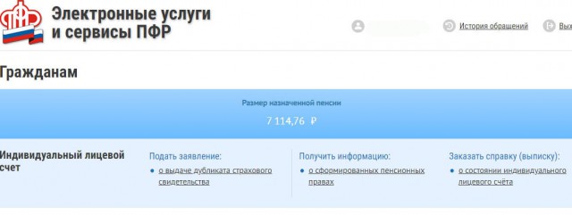 Бийский пенсионер объяснил, почему так отреагировал на вопрос о елочке