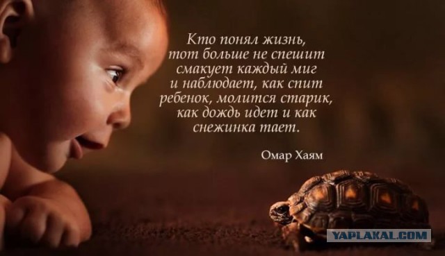 Мужчина 14 лет строит подвал игрушечными экскаваторами
