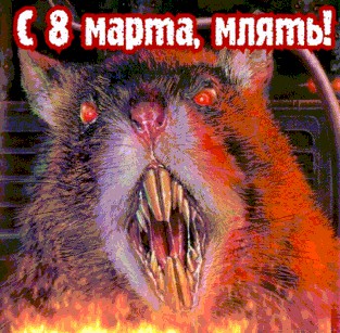 Бездомный майор "Тайфуна" на кресле-каталке