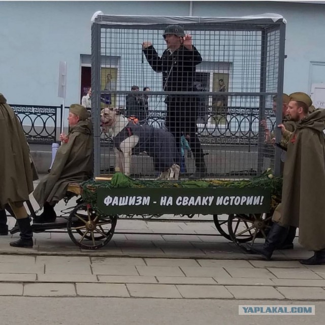 По центру Нижнего Тагила провезли клетку с «пленным немцем» и собаками
