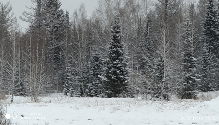 Командировка в Норильск