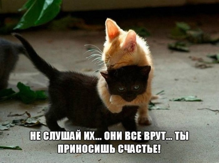 Немного картинок для настроения 19.02.20