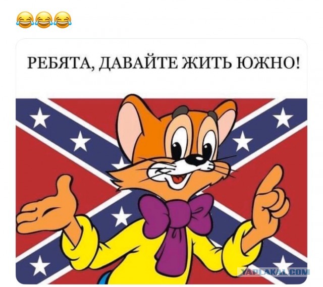Луисвилл. Штат Кентукки. Водитель сбивает протестуна!