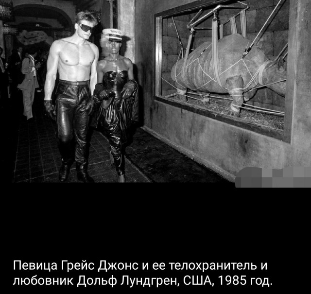 62-летний Дольф Лундгрен сделал предложение 24-летней Эмме Крокдал