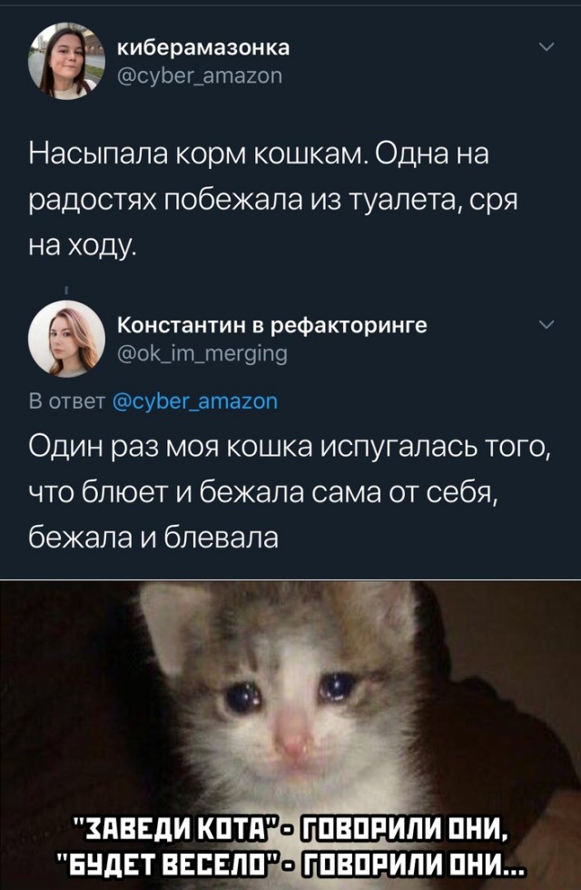 Забавные шутки, картинки и фразы из этих ваших интернетов