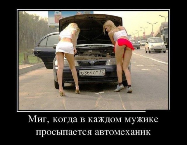 Немного картинок для настроения 23.08.20