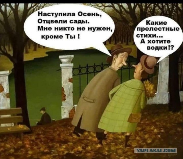 Бредзона 14.10.20