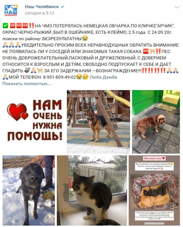 Сегодня в мосметро запустили самый милый поезд за все время: собаки и кошки ищут семью