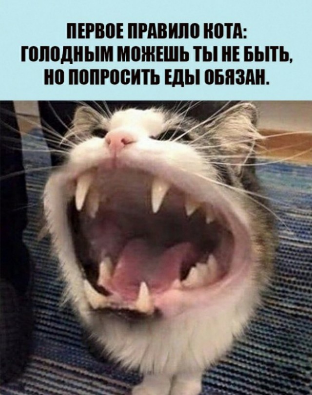 Картинки всякие