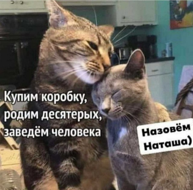 Картинки и мемы для настроения 007