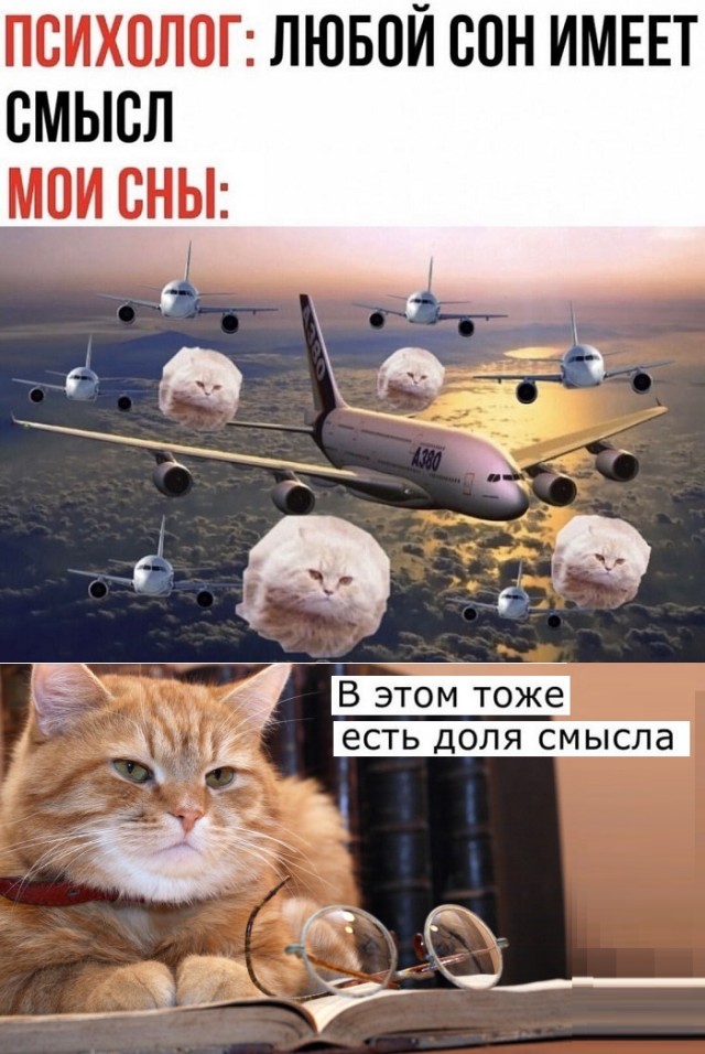 Картинки с котами и про котов