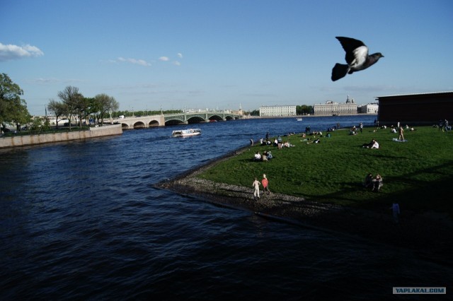 Выпускники из Петербурга устроили танцы на воде