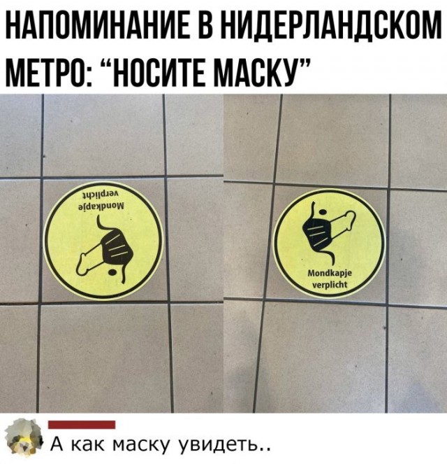 Картинки и мемы для настроения 024