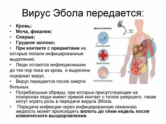 АНТИРЕМЕНЩИКИ. Где-то в параллельной реальности...