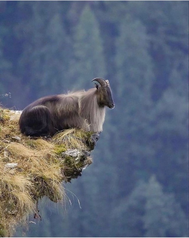 Картинки и мемы для настроения 04.08.2021