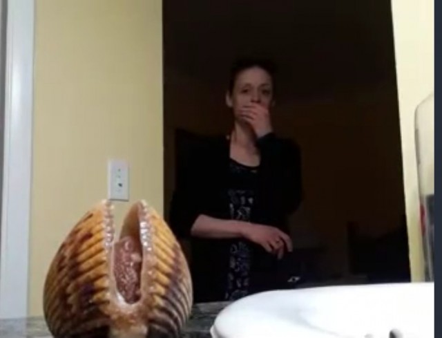Дорогая, я принёс вкусняшку, приготовь пожалуйста ужин