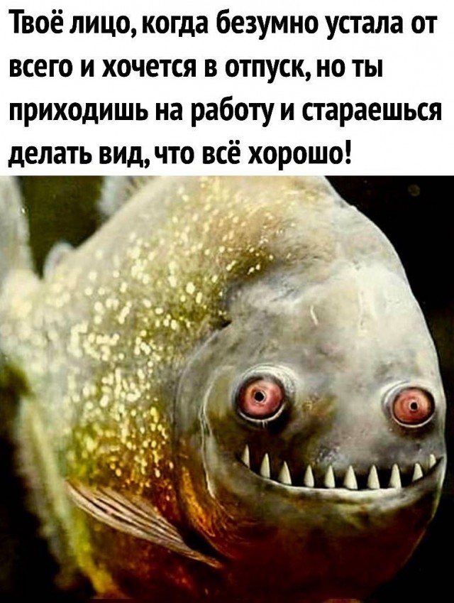 Так себе картинки 13.10.21