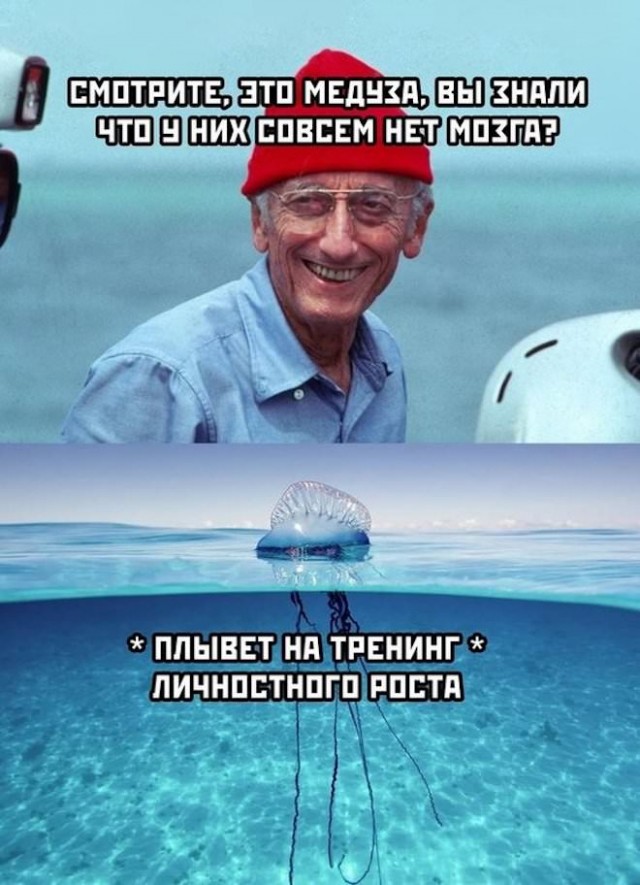 Картинки и мемы для настроения  -  9