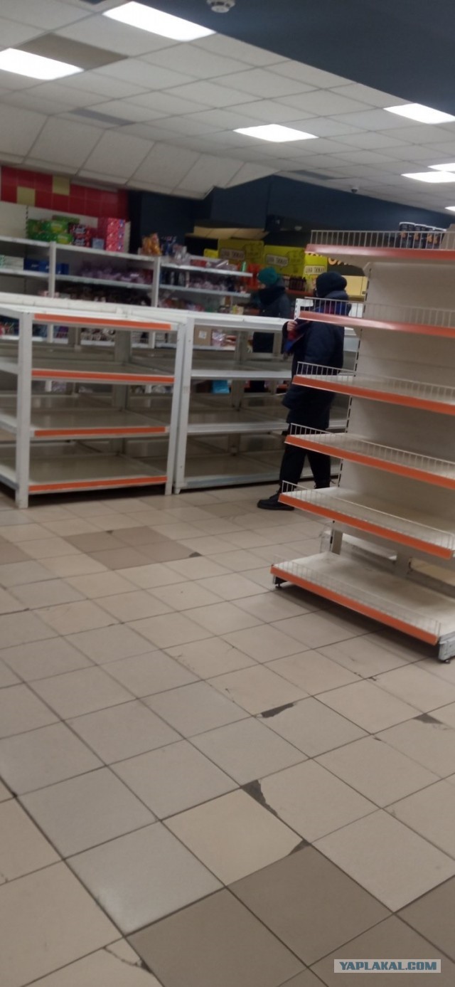 Русские и Украинцы