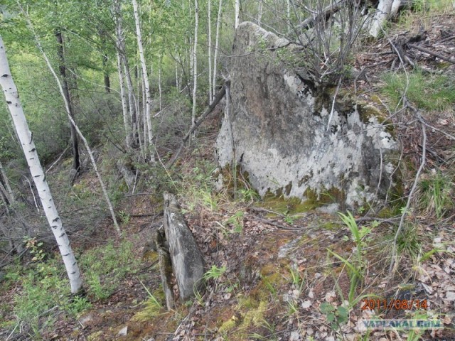 Природа Забайкалья