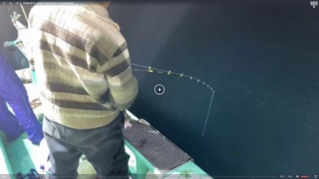 Первый в этом году выход на кальмара