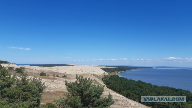 Просто фотки с телефона