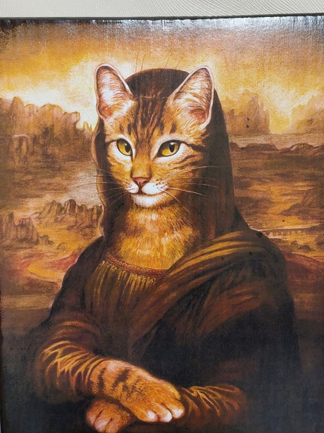 Рыцари коты