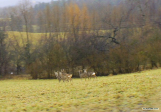 Автотур "Опять несет куда глаза глядятъ"