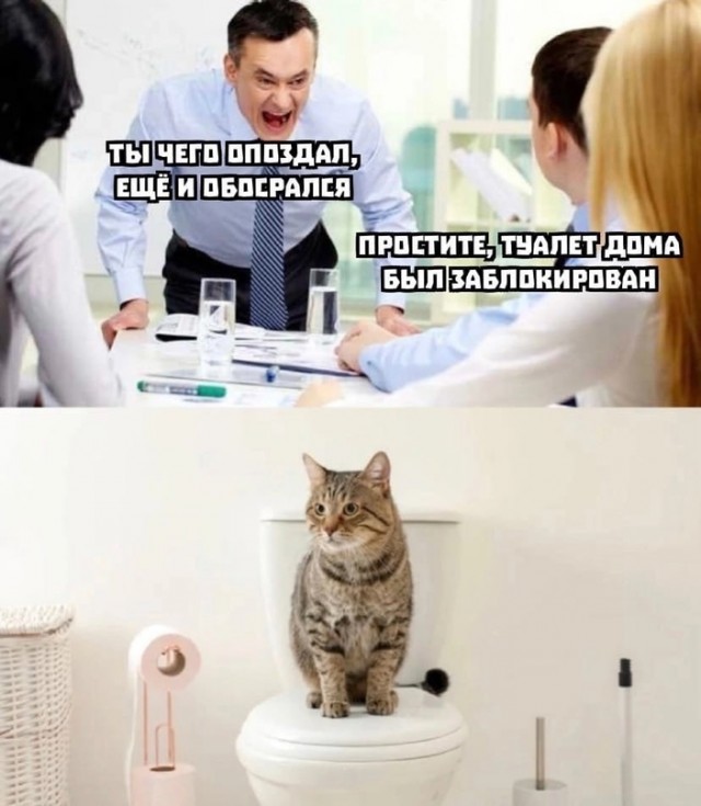 Немного картинок для настроения - 127