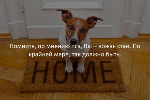 Немного картинок для настроения - 131
