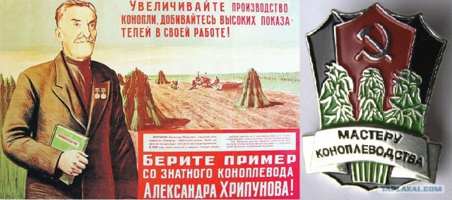 Прикольные и просто красивые картинки 31.01.2023