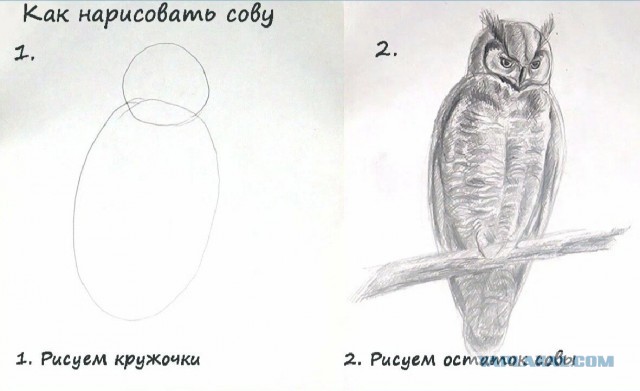 «Из говна и палок»⁠⁠