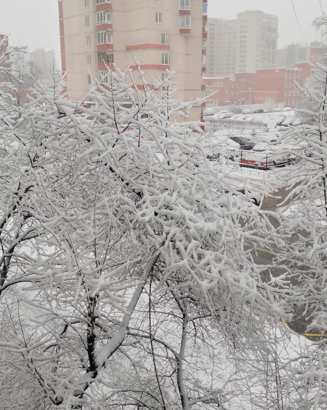 И у нас весна!